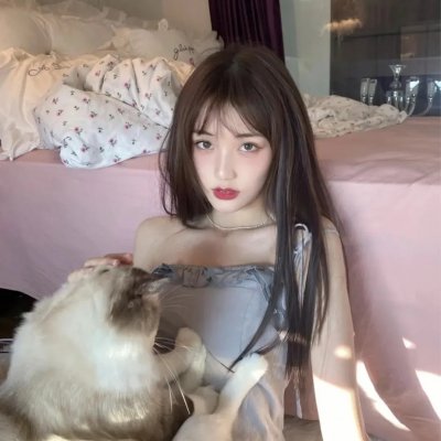 施密特的猫
